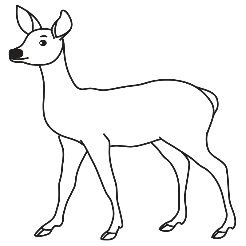 Doe Stamp – RubberStamps.com