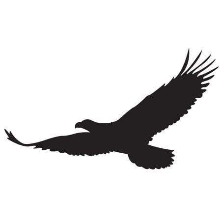 soaring eagle silhouette